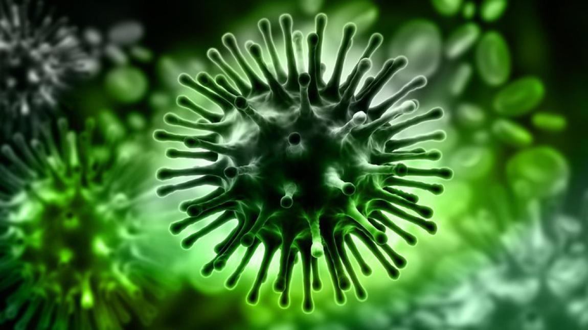 Coronavirüs Belirtileri ve Korunma Yolları